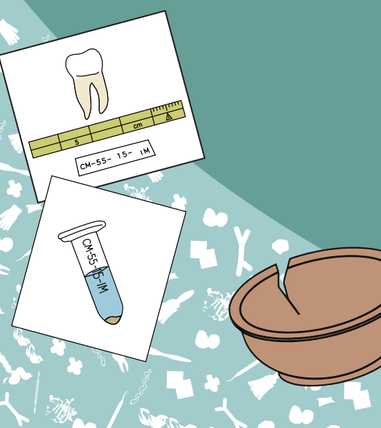 Portada Documento Agrícola