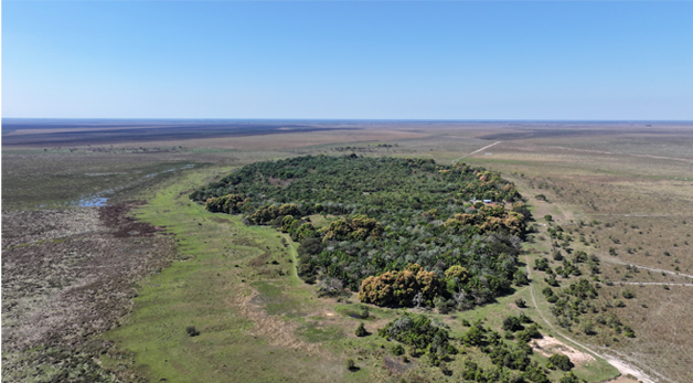 Imagen descriptiva 3